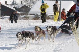 Lenk 2012 SM